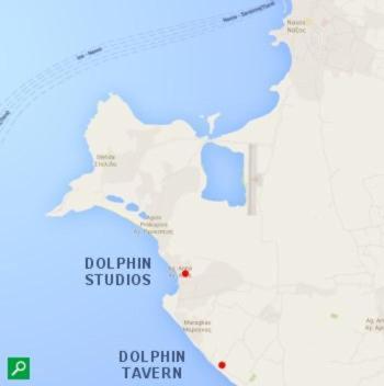 Dolphin Studios Agia Anna  Exteriör bild