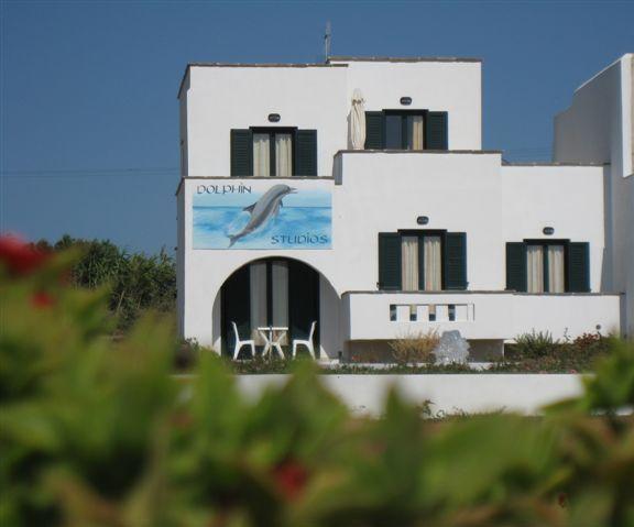 Dolphin Studios Agia Anna  Exteriör bild